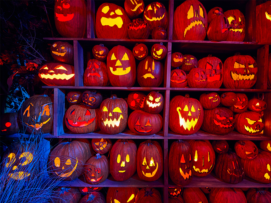 Halloween Horror Pumpkin Carving