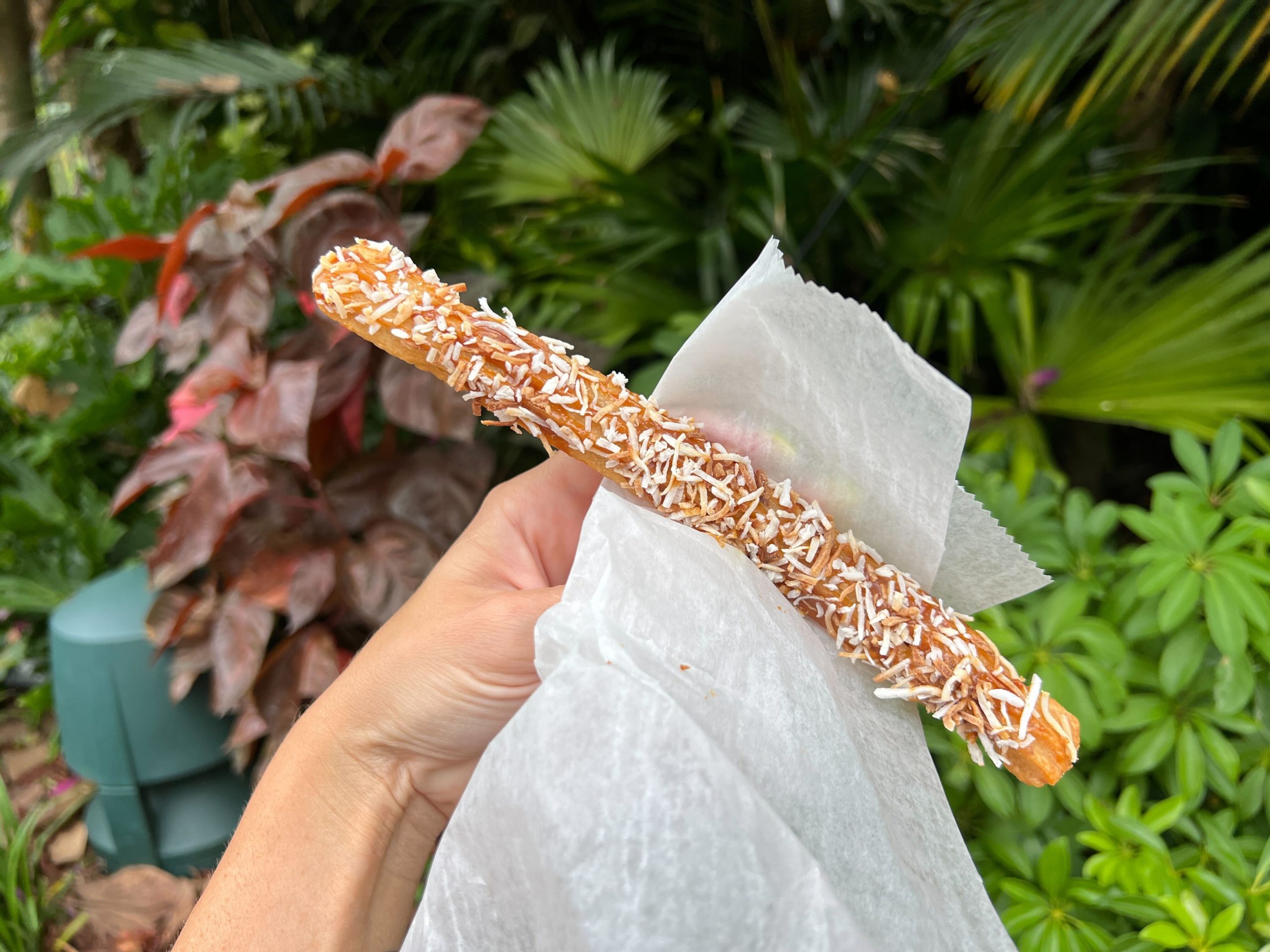 Coconut-cajeo-churro-4-scaled.jpg