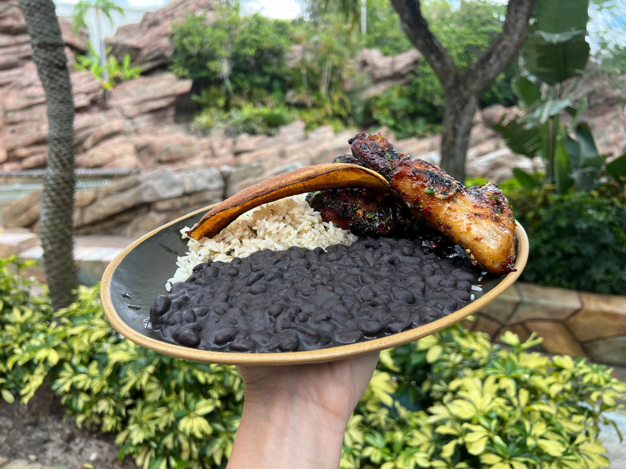 Universal Raptor Tart FIRST LOOK: Prehistoric Raptor Wings Platter - Universal Parks Blog