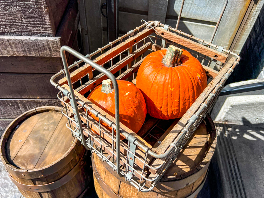 Pumpkins Fall Halloween Decorations Universal Studios Diagon Alley Wizarding World of Harry Potter