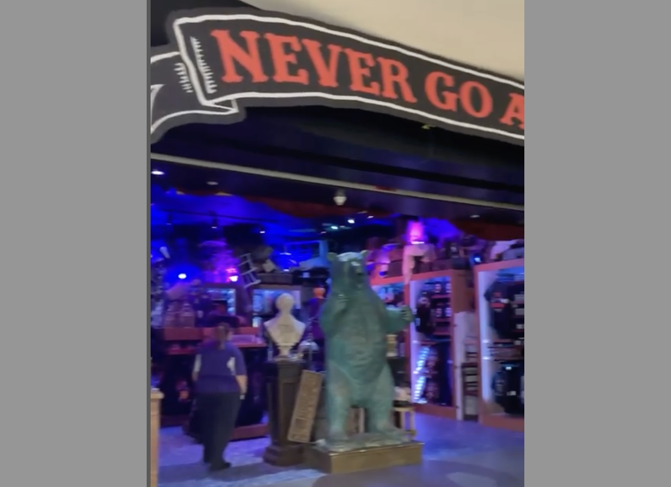 airport HHN