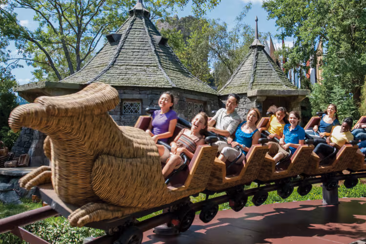 Flight of the hippogriff